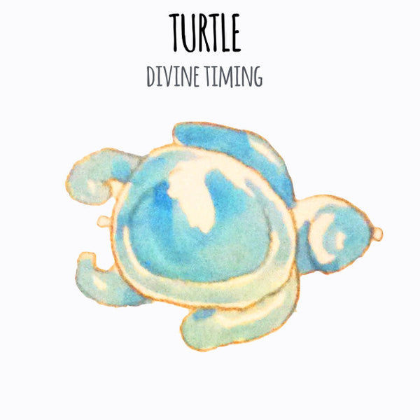 Turtle Charm