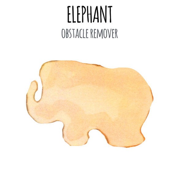 Elephant Charm